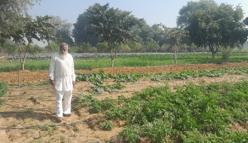75 वर्षीय किसान ओमवीर सिंह ने अपनाई प्राकृतिक खेती