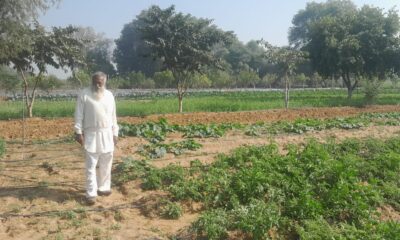 75 वर्षीय किसान ओमवीर सिंह ने अपनाई प्राकृतिक खेती