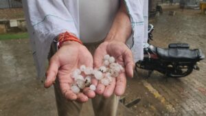 सरसों-गेहूं को नुकसान की आशंका