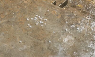 कटाई से पहले ओलों की मार