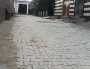 लंबे इंतजार के बाद गली में बना इंटरलॉकिंग रोड, अब आवाजाही हुई आसान।