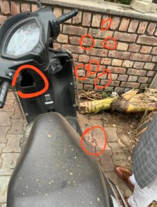 चंडीगढ़ BJP ऑफिस के बाहर बड़ा धमाका, पूरा इलाका सील।धमाके के बाद पार्टी के दफ्तर की दीवारों पर 70 से 80 छरे जैसे निसान बने।