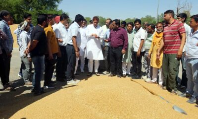 फतेहाबाद : गेहूं खरीद प्रक्रिया का जायजा लेने अतिरिक्त अनाज मंडी पहुंचे राज्यसभा सांसद सुभाष बराला